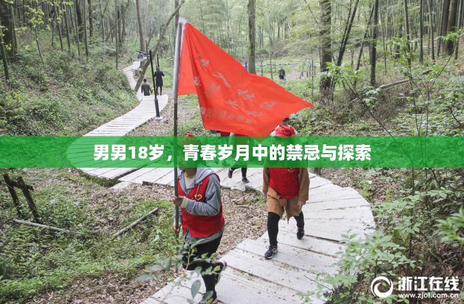 男男18岁，青春岁月中的禁忌与探索