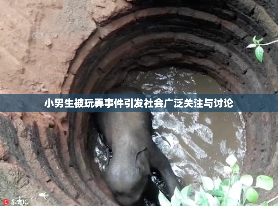小男生被玩弄事件引发社会广泛关注与讨论