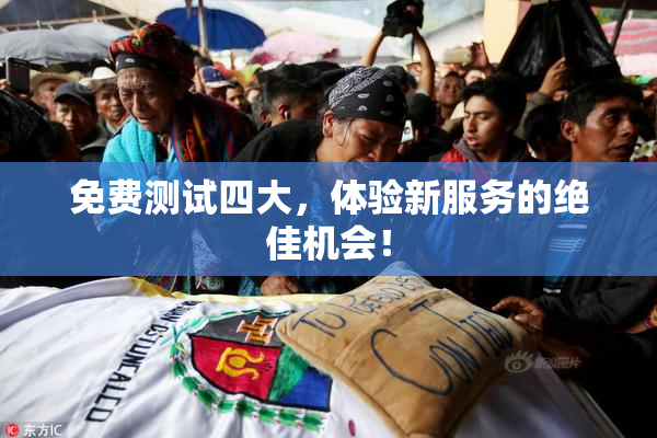 免费测试四大，体验新服务的绝佳机会！