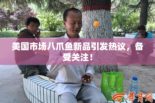美国市场八爪鱼新品引发热议，备受关注！