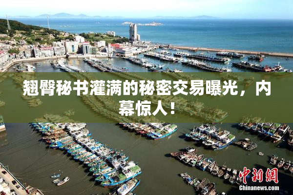 翘臀秘书灌满的秘密交易曝光，内幕惊人！