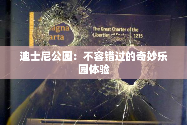 迪士尼公园：不容错过的奇妙乐园体验