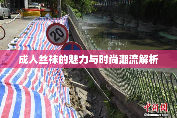 成人丝袜的魅力与时尚潮流解析