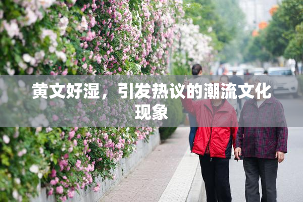 黄文好湿，引发热议的潮流文化现象