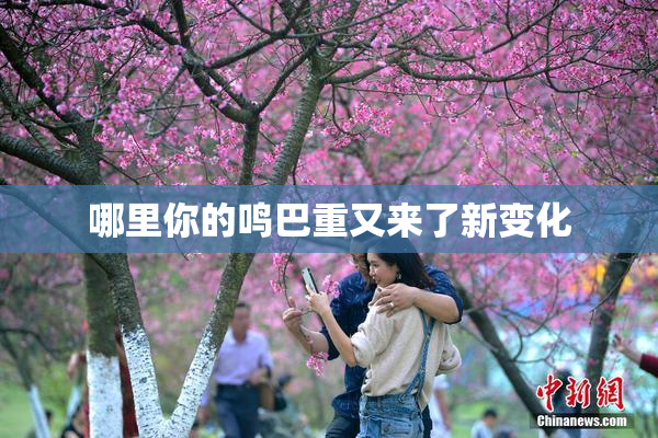 哪里你的鸣巴重又来了新变化