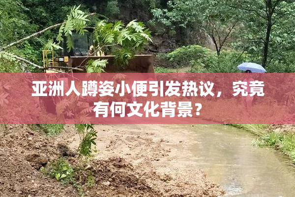 亚洲人蹲姿小便引发热议，究竟有何文化背景？