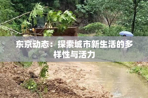 东京动态：探索城市新生活的多样性与活力