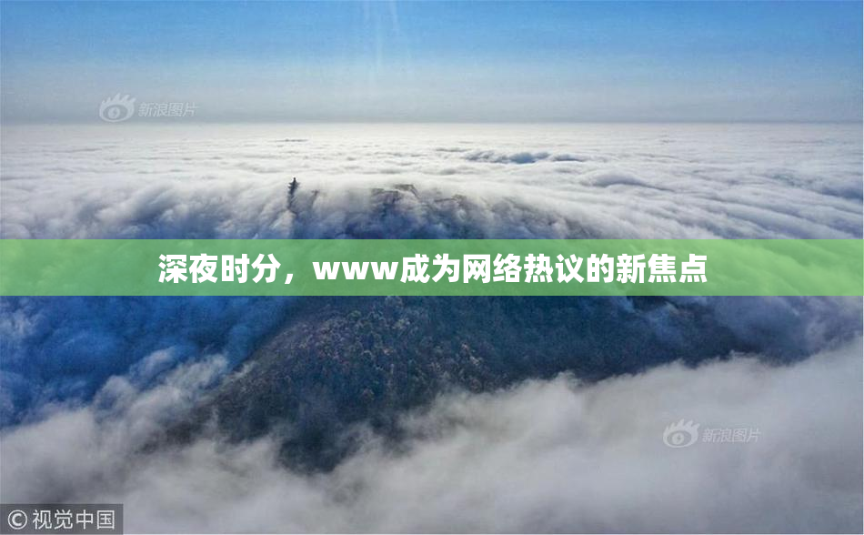 深夜时分，www成为网络热议的新焦点