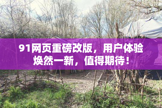 91网页重磅改版，用户体验焕然一新，值得期待！