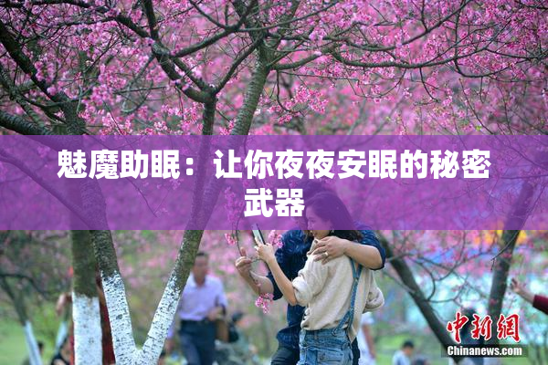 魅魔助眠：让你夜夜安眠的秘密武器