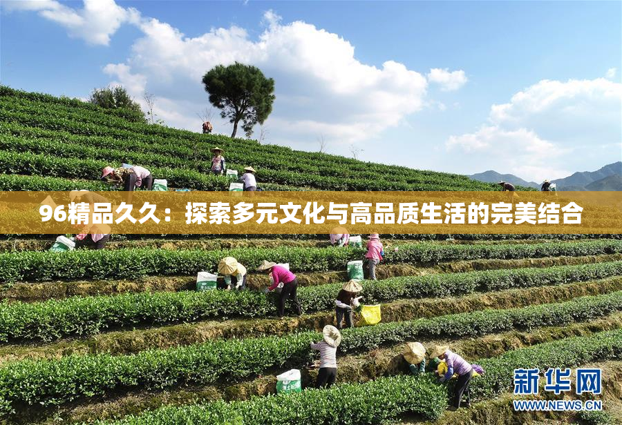 96精品久久：探索多元文化与高品质生活的完美结合