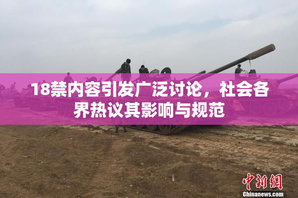 18禁内容引发广泛讨论，社会各界热议其影响与规范