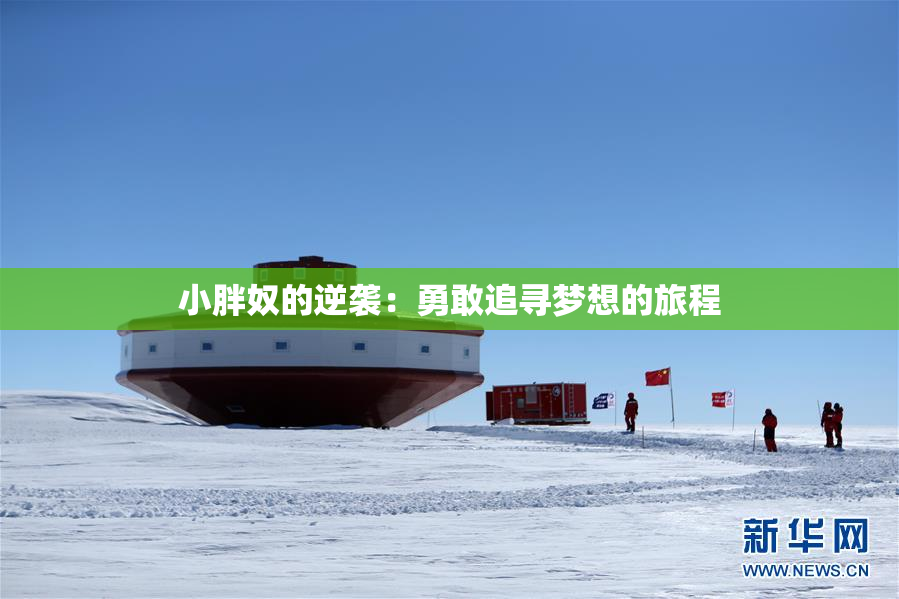 小胖奴的逆袭：勇敢追寻梦想的旅程
