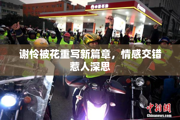 谢怜被花重写新篇章，情感交错惹人深思