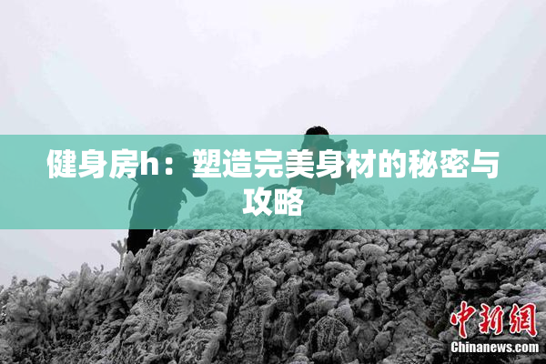 健身房h：塑造完美身材的秘密与攻略