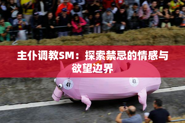 主仆调教SM：探索禁忌的情感与欲望边界