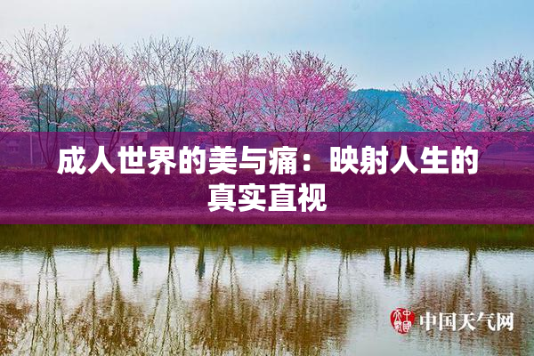 成人世界的美与痛：映射人生的真实直视