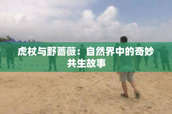 虎杖与野蔷薇：自然界中的奇妙共生故事