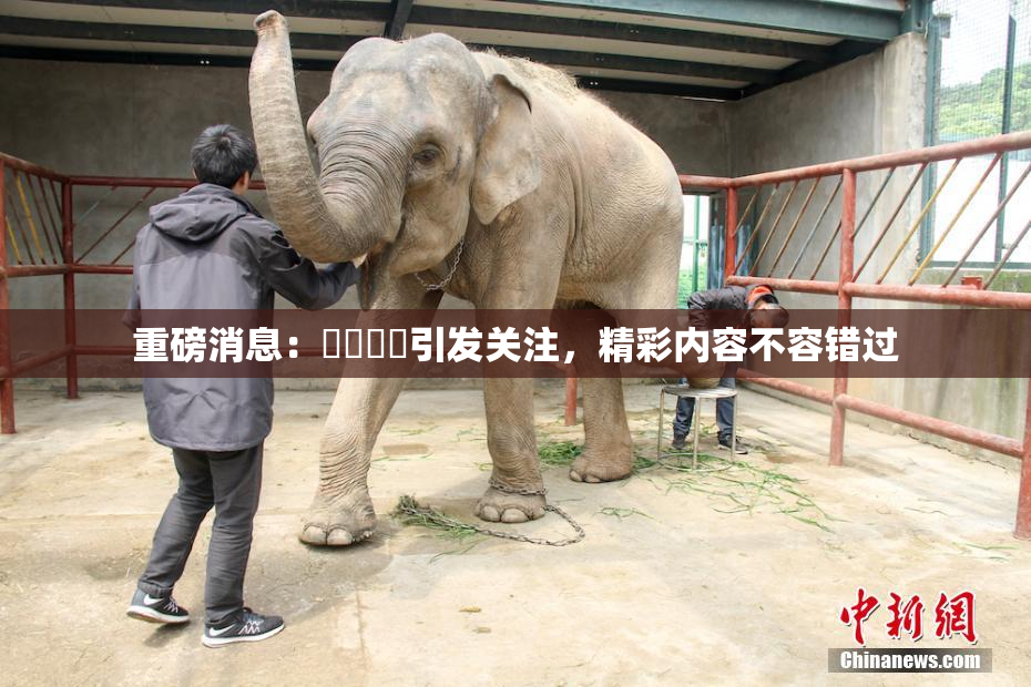 重磅消息：馃悢馃悢引发关注，精彩内容不容错过
