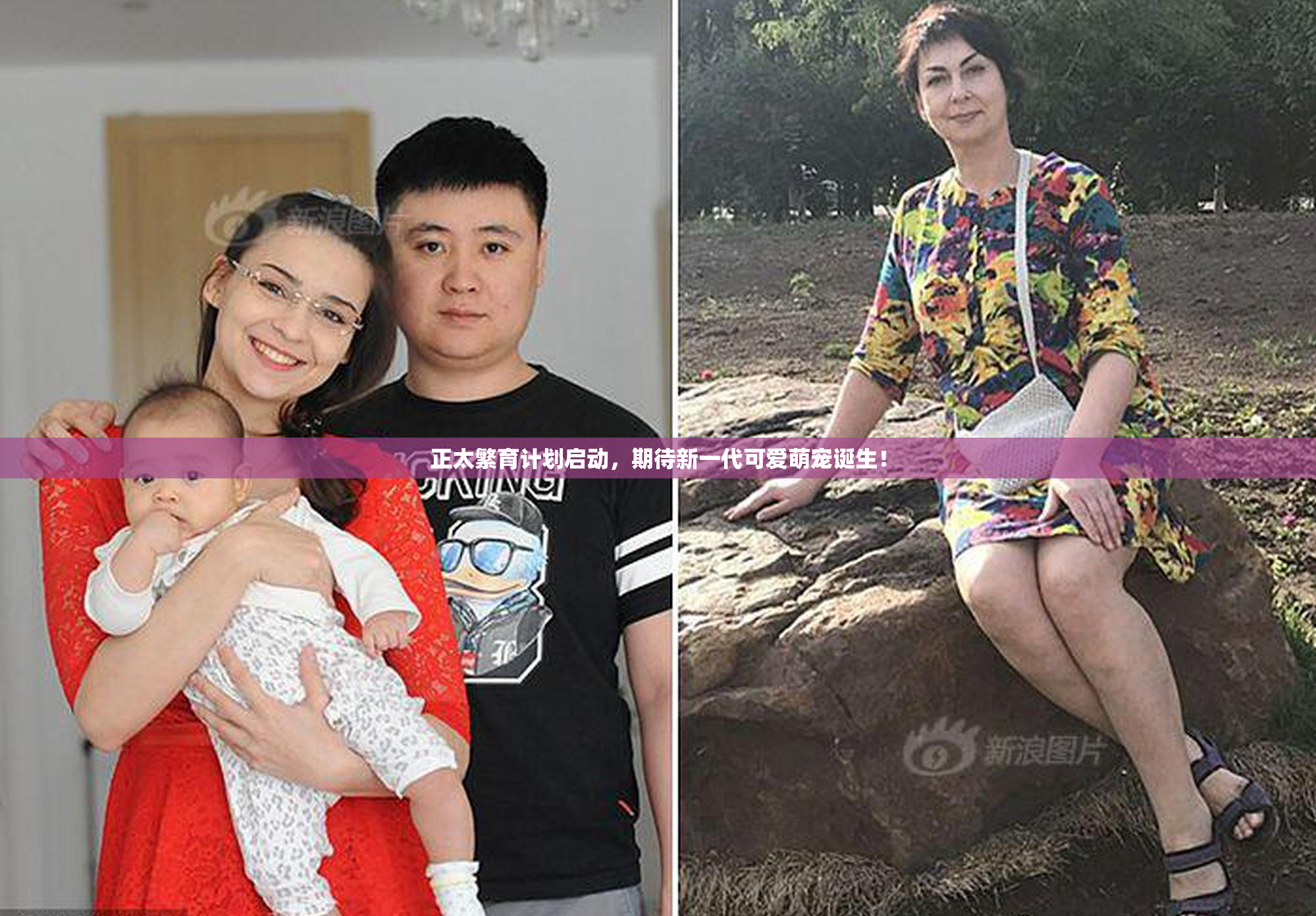 正太繁育计划启动，期待新一代可爱萌宠诞生！