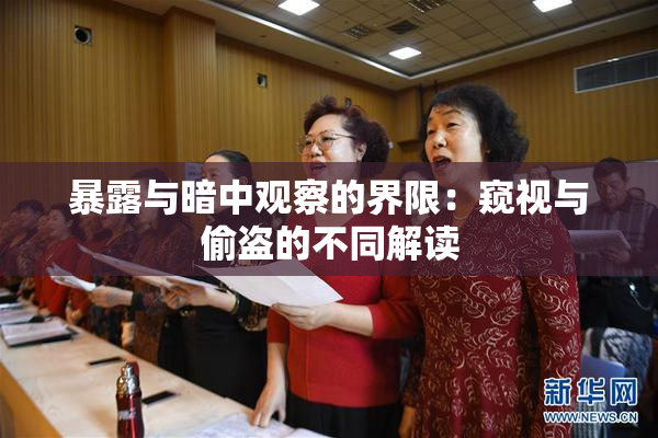 暴露与暗中观察的界限：窥视与偷盗的不同解读