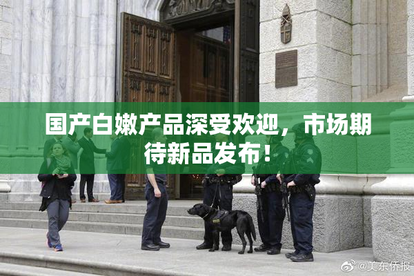 国产白嫩产品深受欢迎，市场期待新品发布！