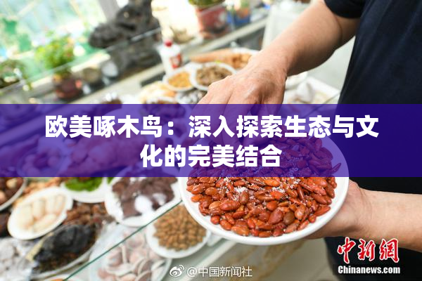 欧美啄木鸟：深入探索生态与文化的完美结合