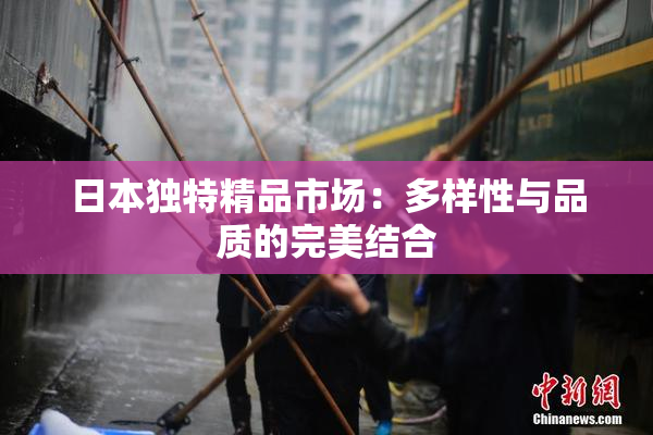 日本独特精品市场：多样性与品质的完美结合