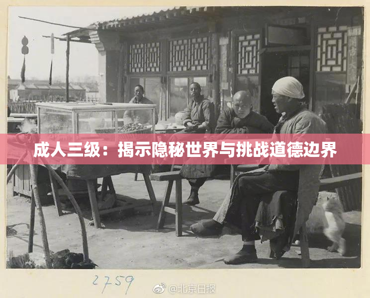 成人三级：揭示隐秘世界与挑战道德边界