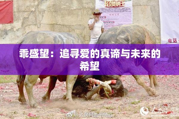 乖盛望：追寻爱的真谛与未来的希望