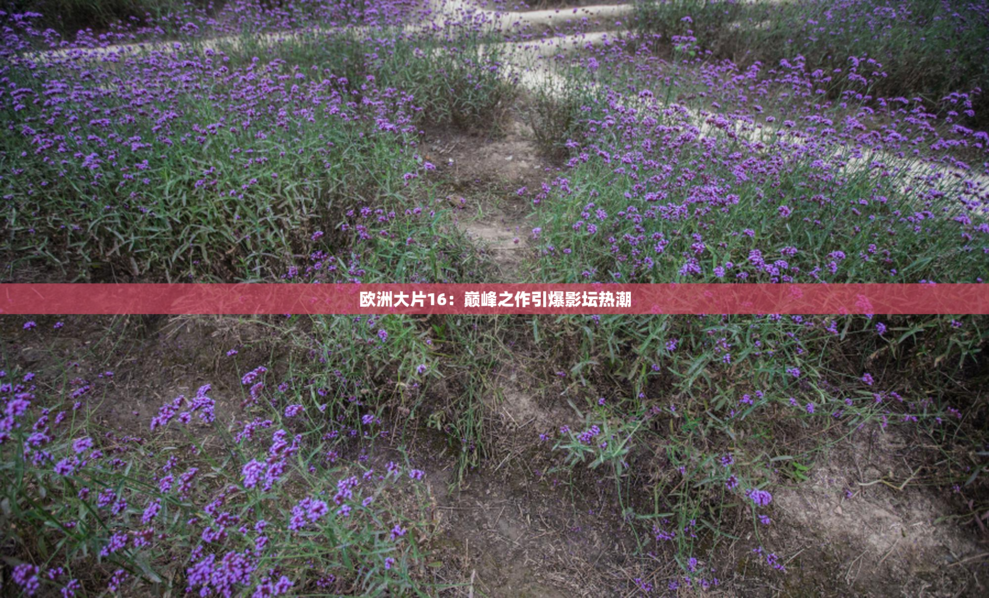 欧洲大片16：巅峰之作引爆影坛热潮