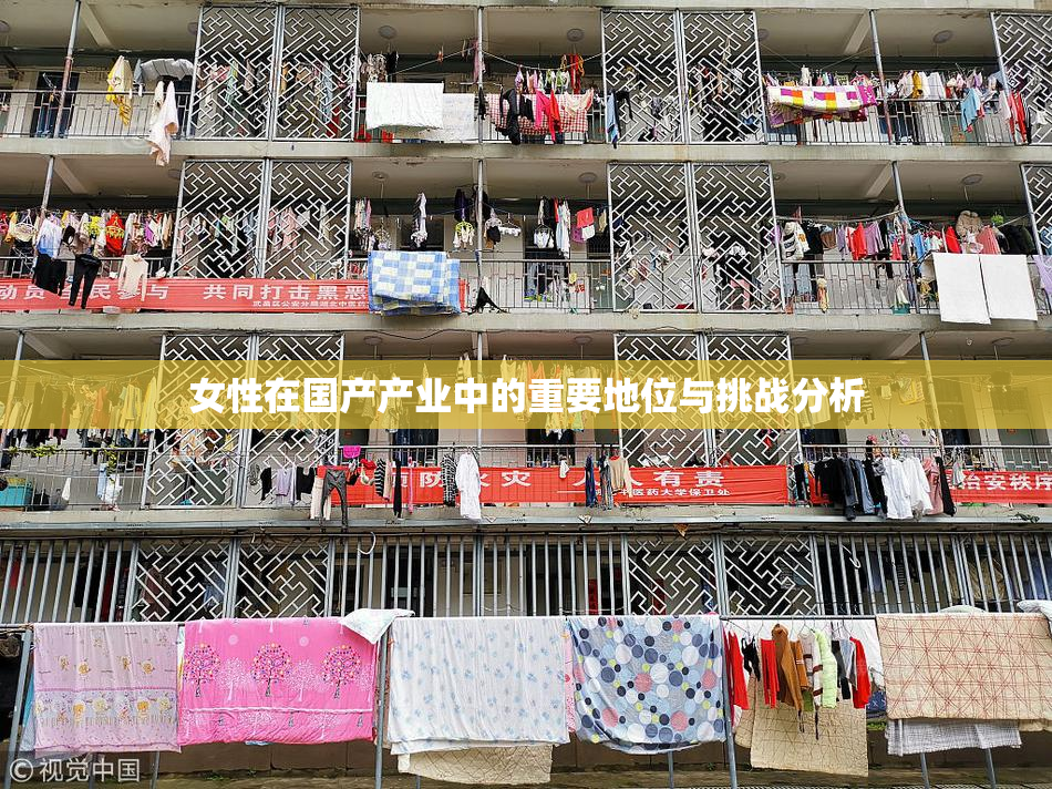 女性在国产产业中的重要地位与挑战分析