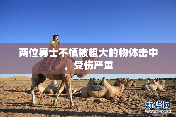两位男士不慎被粗大的物体击中，受伤严重