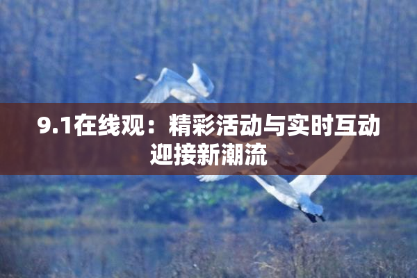 9.1在线观：精彩活动与实时互动迎接新潮流