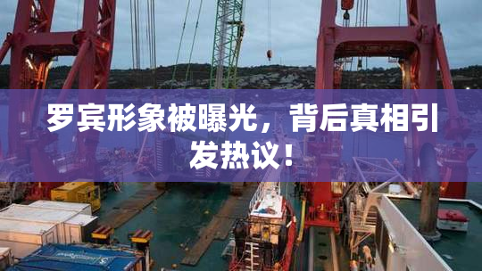 罗宾形象被曝光，背后真相引发热议！