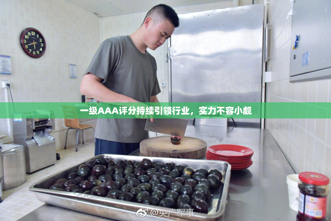 一级AAA评分持续引领行业，实力不容小觑