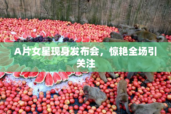 A片女星现身发布会，惊艳全场引关注