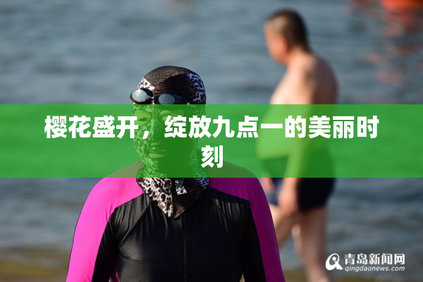 樱花盛开，绽放九点一的美丽时刻