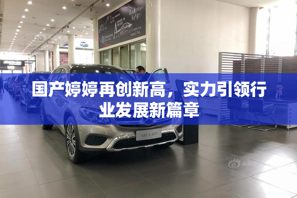 国产婷婷再创新高，实力引领行业发展新篇章