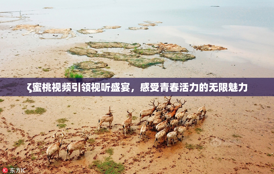 ζ蜜桃视频引领视听盛宴，感受青春活力的无限魅力