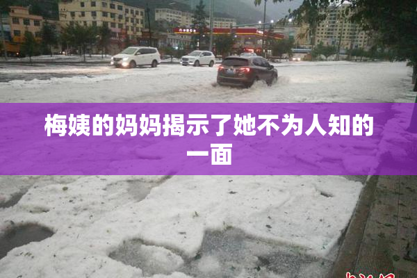 梅姨的妈妈揭示了她不为人知的一面