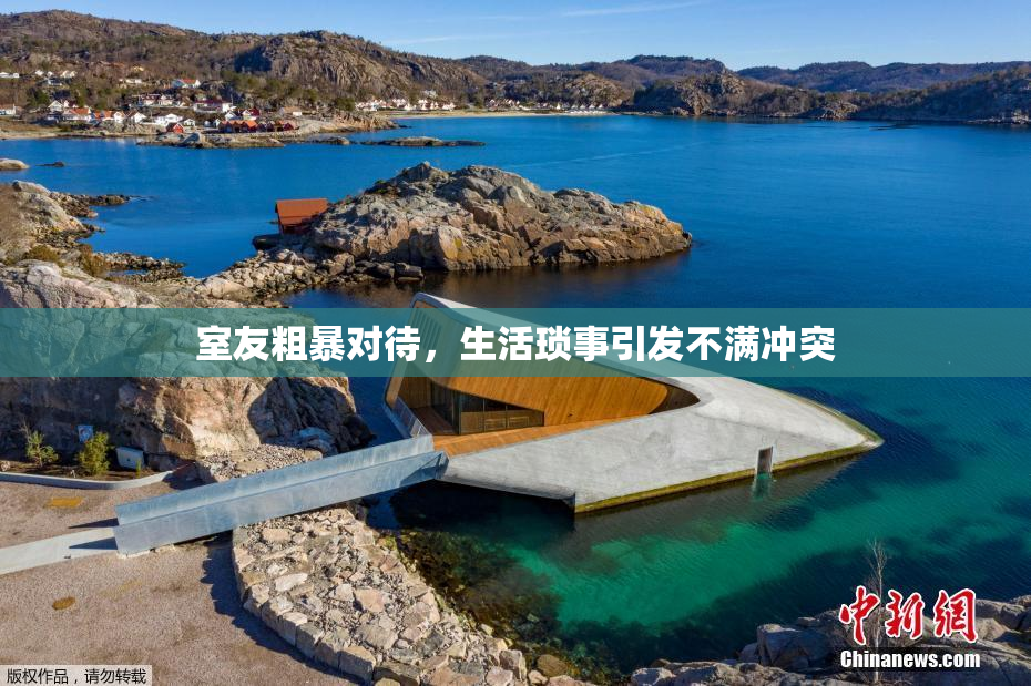 室友粗暴对待，生活琐事引发不满冲突
