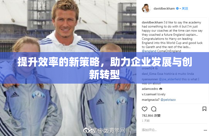 提升效率的新策略，助力企业发展与创新转型