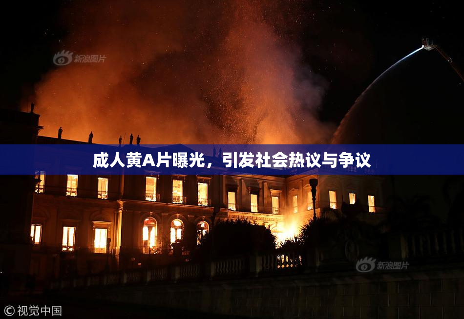 成人黄A片曝光，引发社会热议与争议