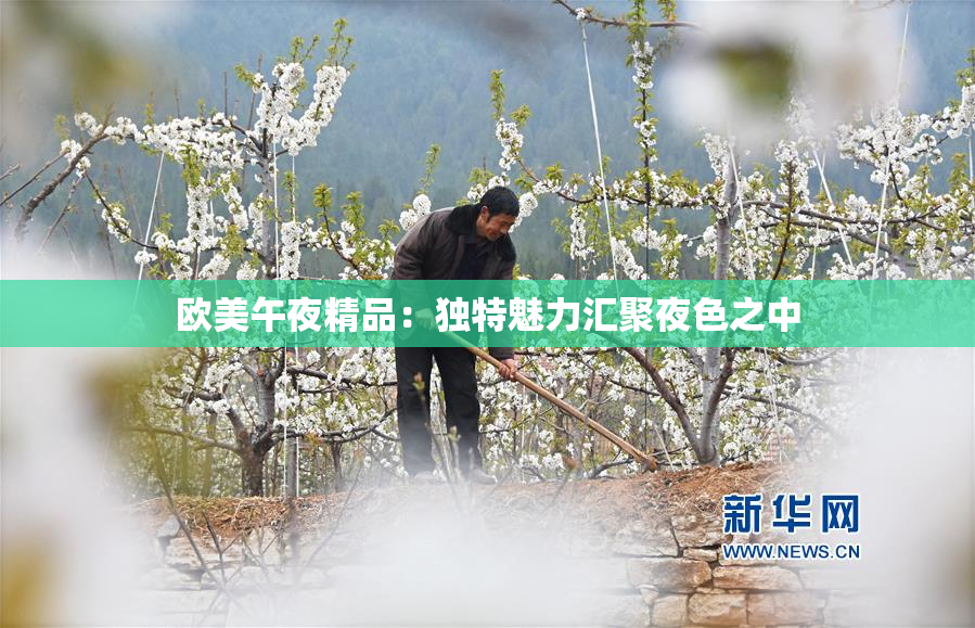 欧美午夜精品：独特魅力汇聚夜色之中