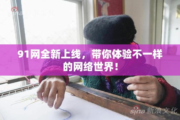91网全新上线，带你体验不一样的网络世界！