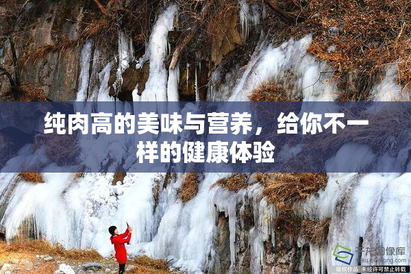 纯肉高的美味与营养，给你不一样的健康体验