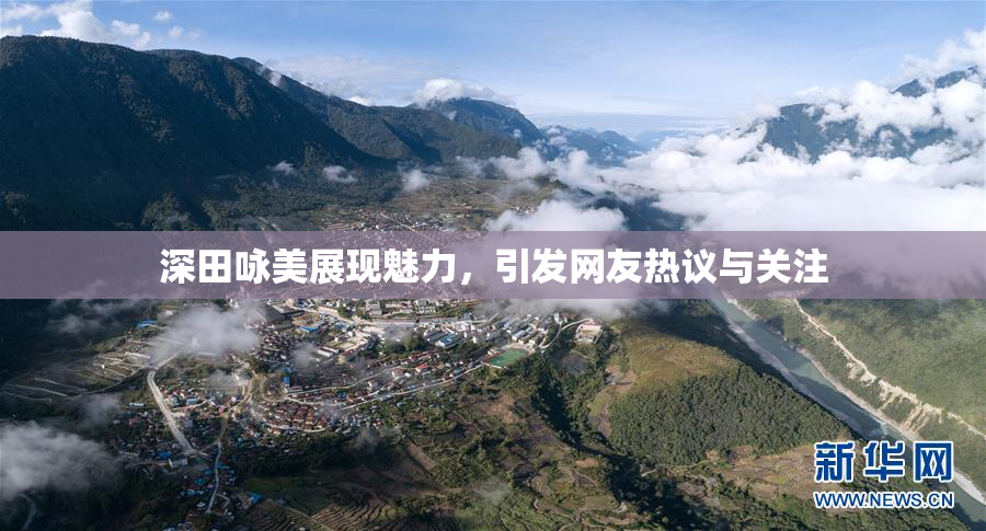 深田咏美展现魅力，引发网友热议与关注