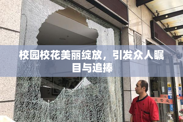 校园校花美丽绽放，引发众人瞩目与追捧