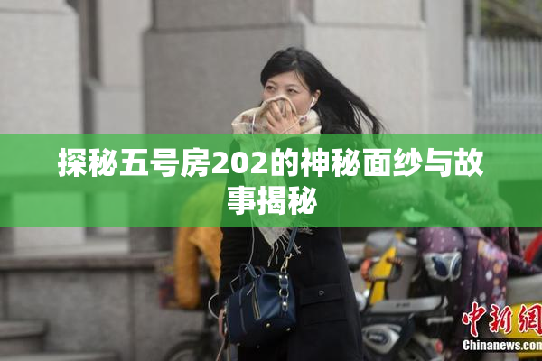探秘五号房202的神秘面纱与故事揭秘